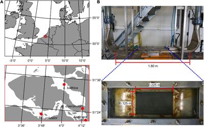 Key Bioturbator Species Within Benthic Communities Determine Sediment Resuspension Thresholds